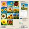 Plato; Sunflowers | 2027 7 x 14 Inch (Hanging) Monthly Mini Wall Calendar | Foil Stamped Cover; Category:Wall Calendars; Image:3